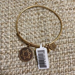 Alex and Ani Bronze Bracelet NWT